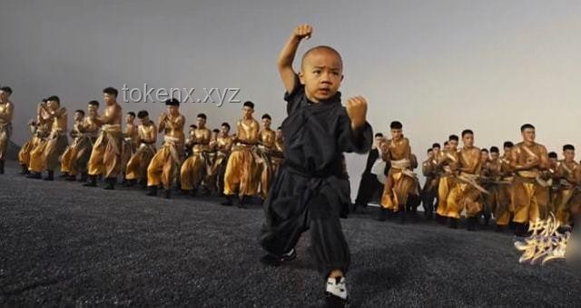 如何应对“藏海传陆烬演员是少林寺武僧”这一设定带来的挑战与机遇